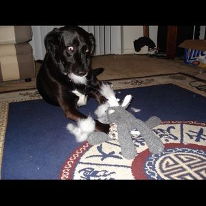 Meet your Posher, Scott